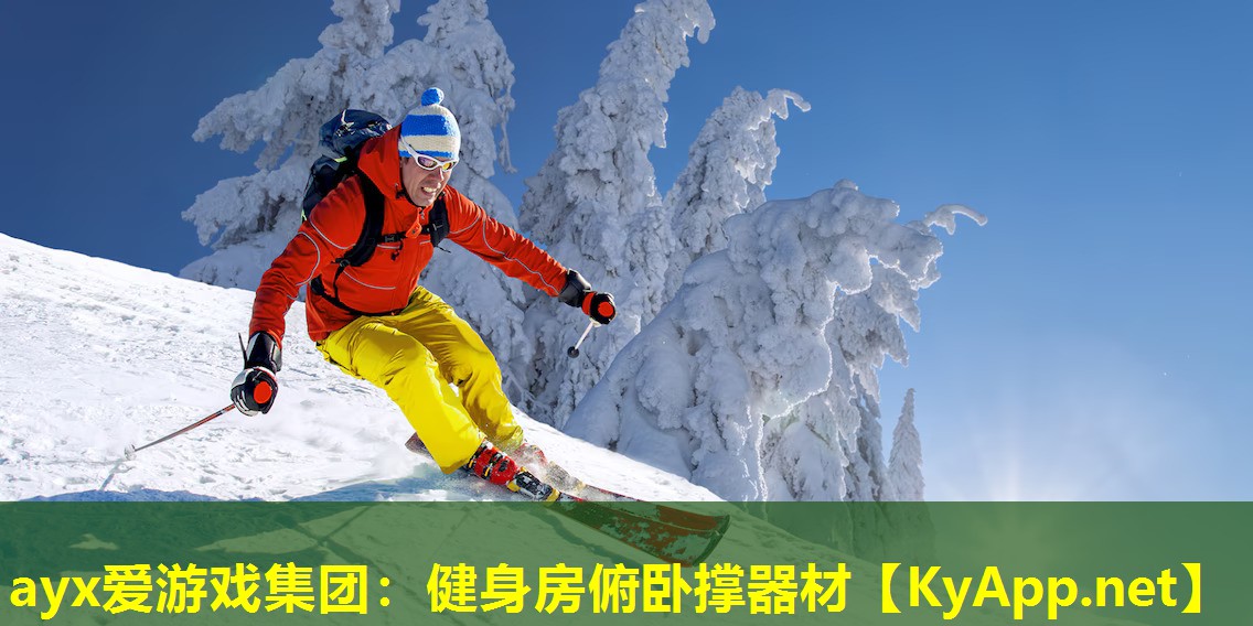 ayx爱游戏集团：健身房俯卧撑器材