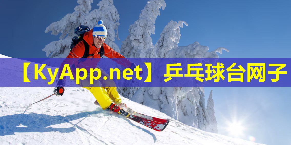 乒乓球台网子