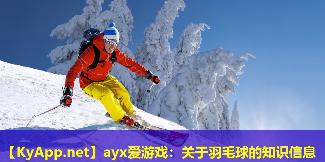 ayx爱游戏：关于羽毛球的知识信息