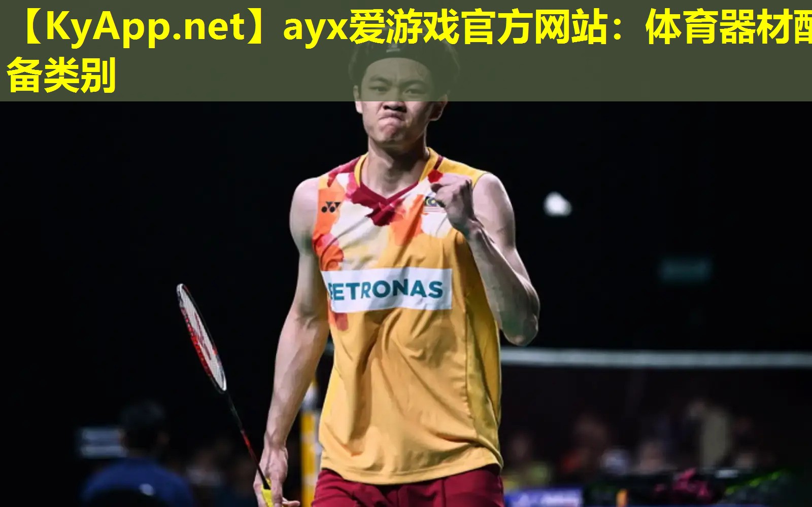 ayx爱游戏官方网站：体育器材配备类别