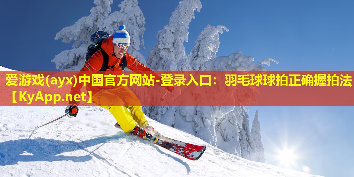 爱游戏(ayx)中国官方网站-登录入口：羽毛球球拍正确握拍法