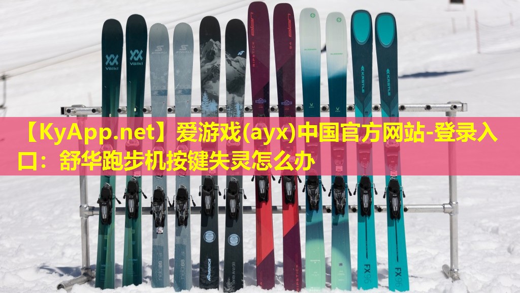 爱游戏(ayx)中国官方网站-登录入口：舒华跑步机按键失灵怎么办