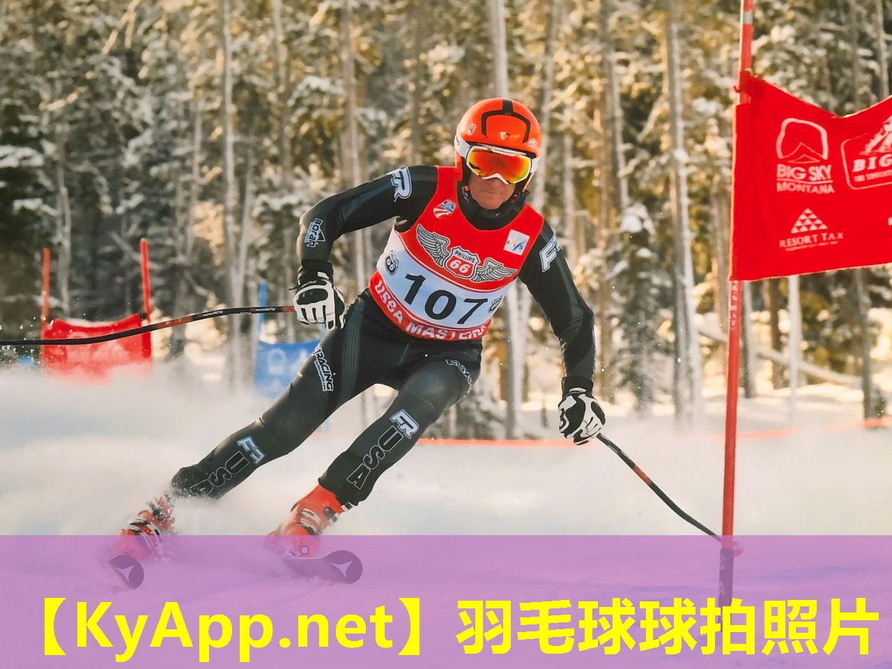 羽毛球球拍照片