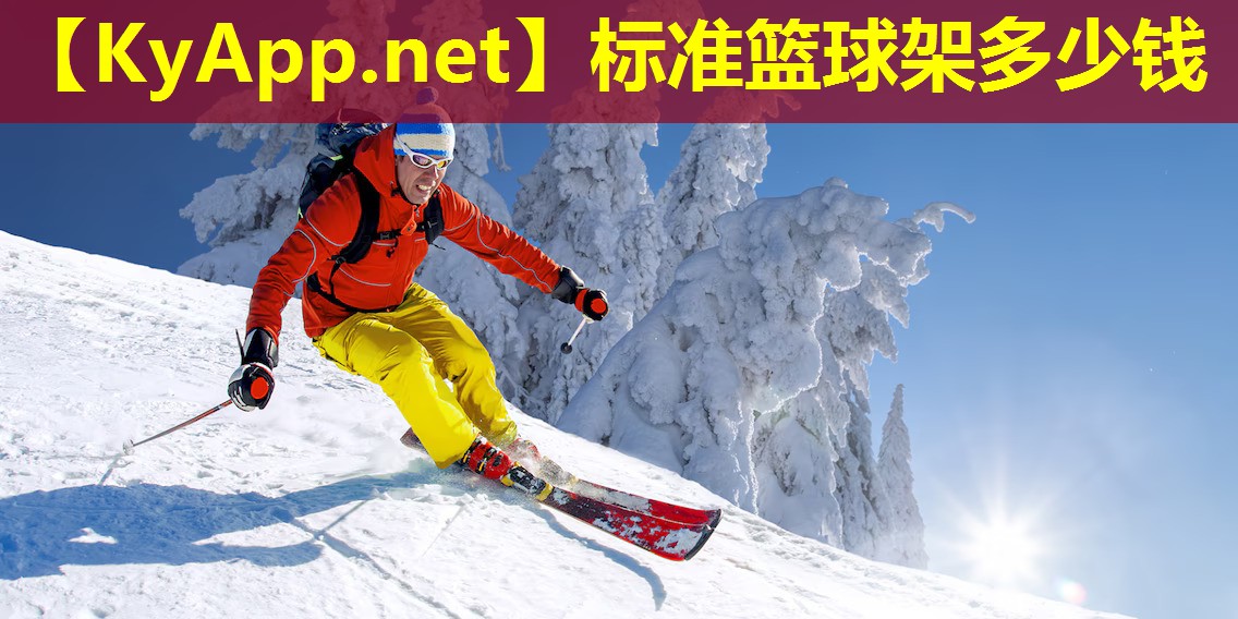标准篮球架多少钱