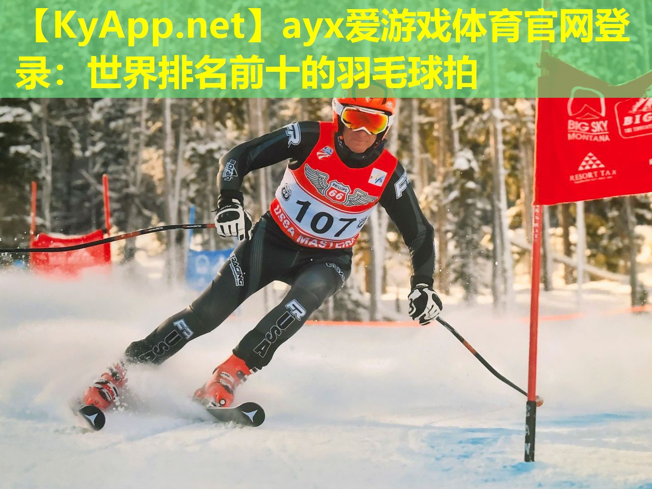 ayx爱游戏体育官网登录：世界排名前十的羽毛球拍