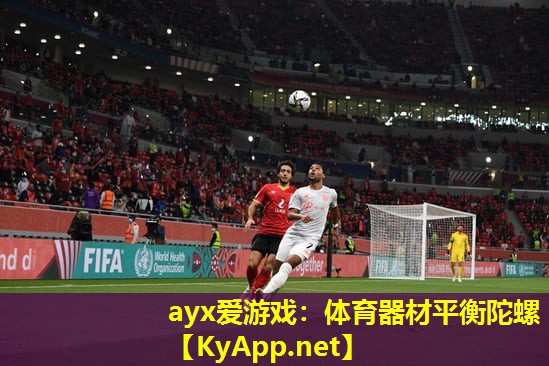 ayx爱游戏：体育器材平衡陀螺