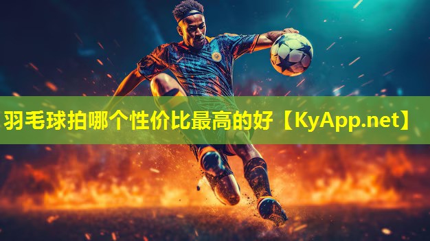 羽毛球拍哪个性价比最高的好