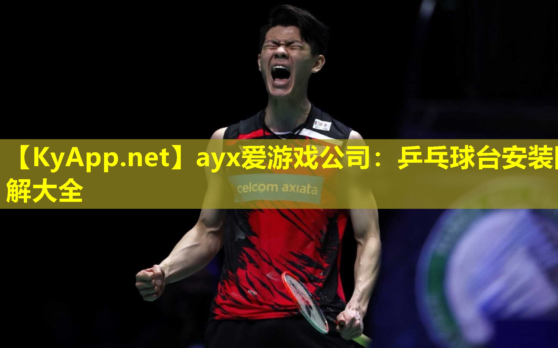ayx爱游戏公司：乒乓球台安装图解大全