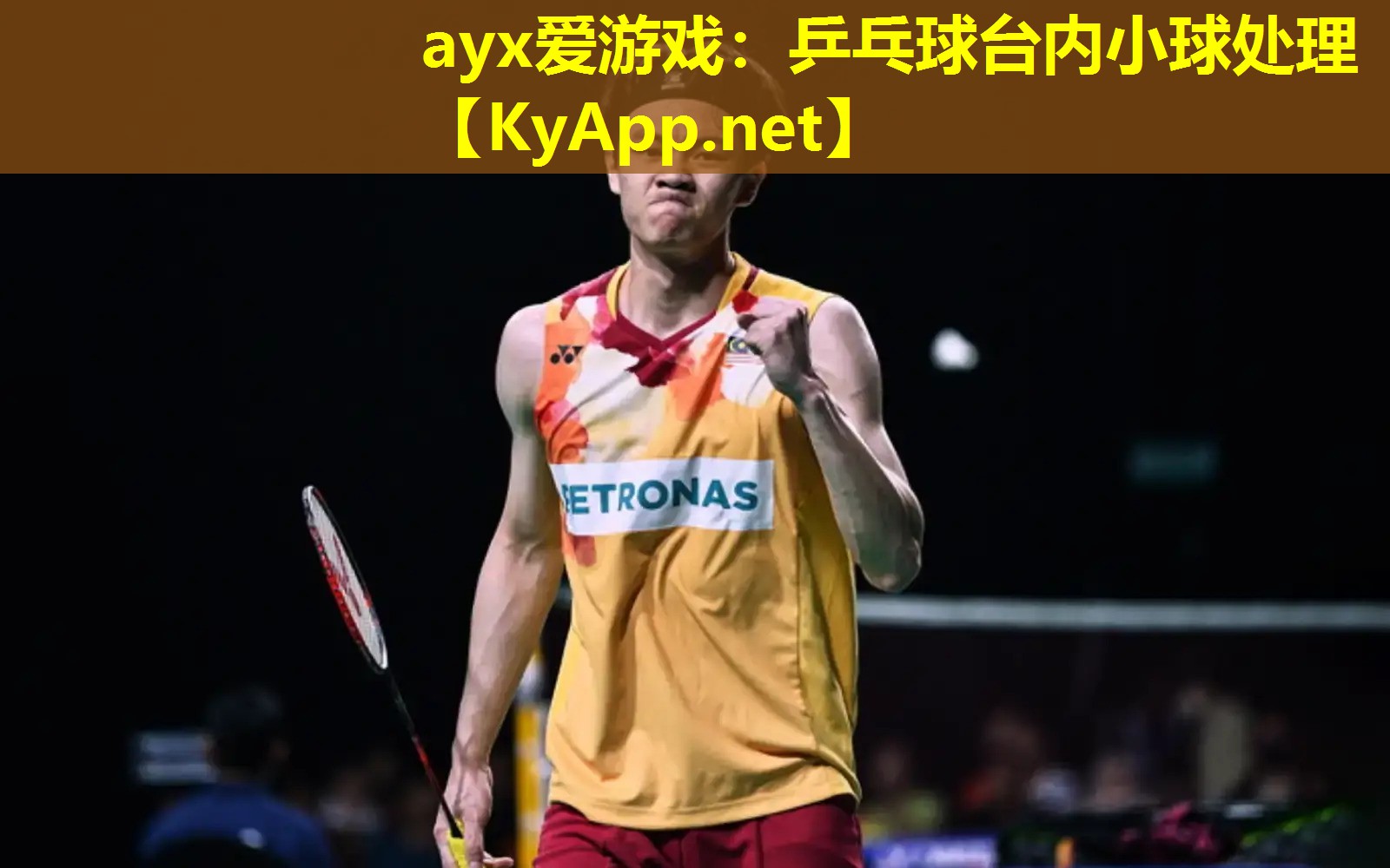 乒乓球台内小球处理