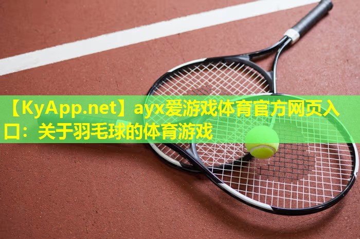 关于羽毛球的体育游戏