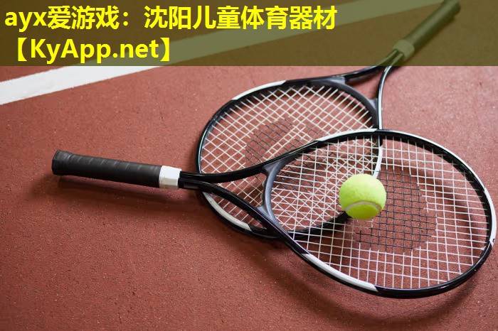 沈阳儿童体育器材