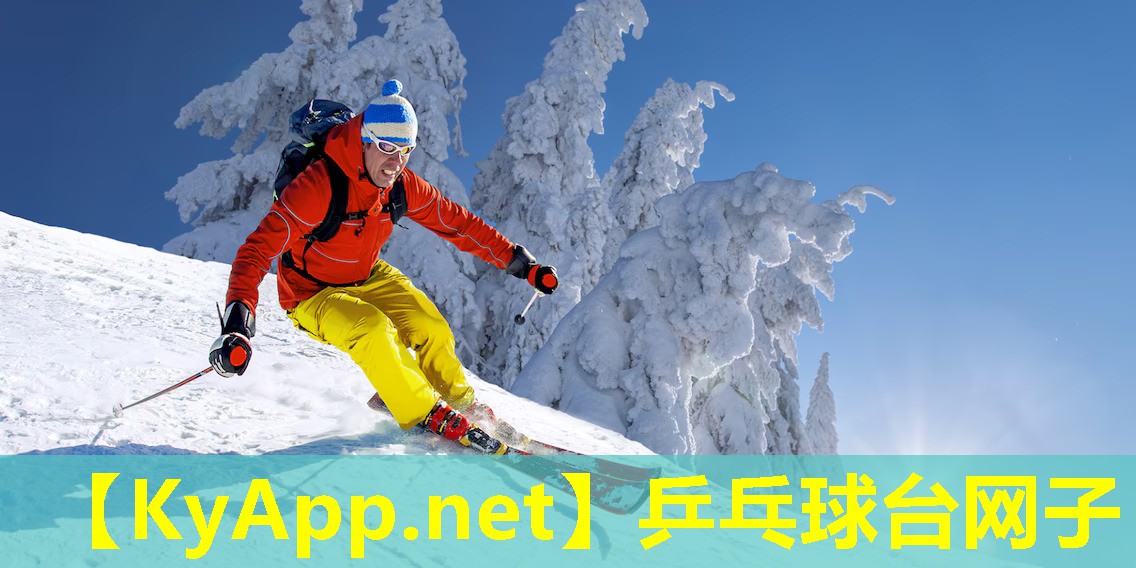 乒乓球台网子