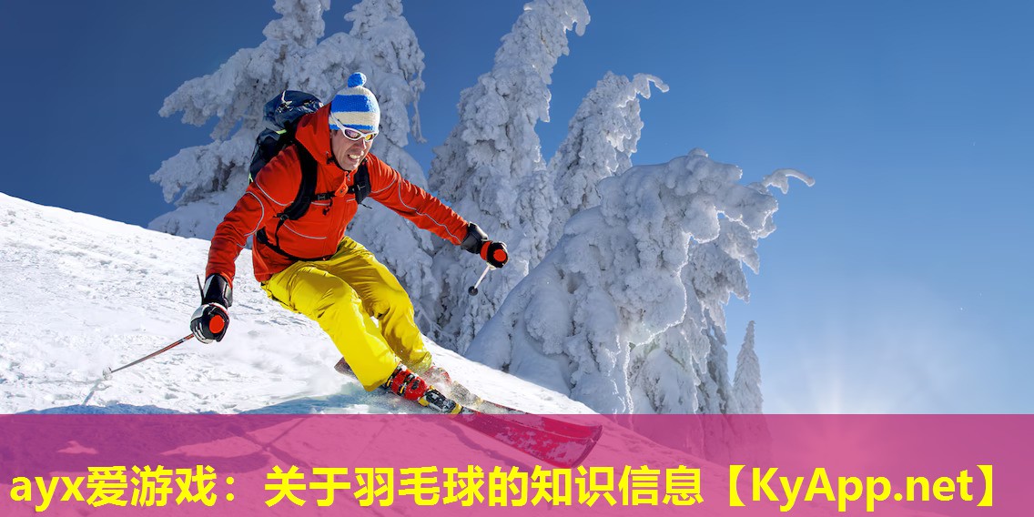 关于羽毛球的知识信息