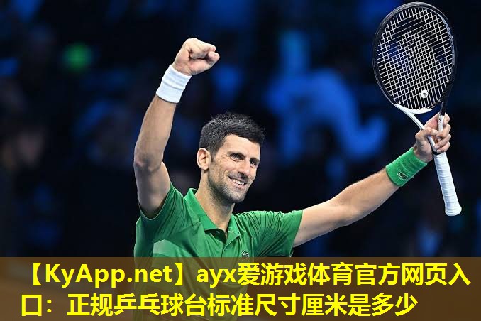 正规乒乓球台标准尺寸厘米是多少
