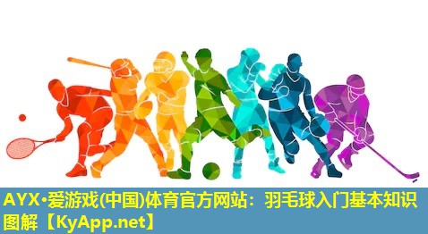羽毛球入门基本知识图解