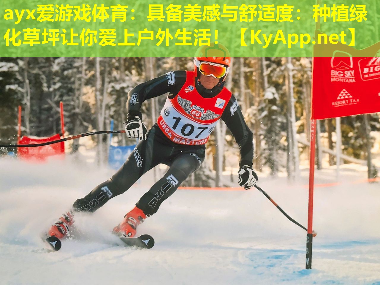 具备美感与舒适度：种植绿化草坪让你爱上户外生活！