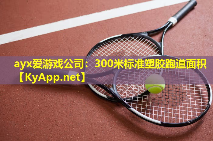 300米标准塑胶跑道面积
