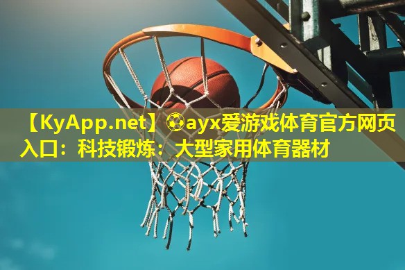 科技锻炼：大型家用体育器材