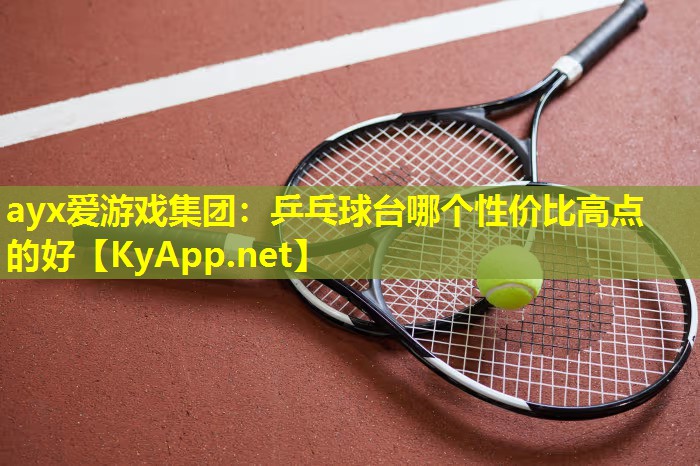 乒乓球台哪个性价比高点的好