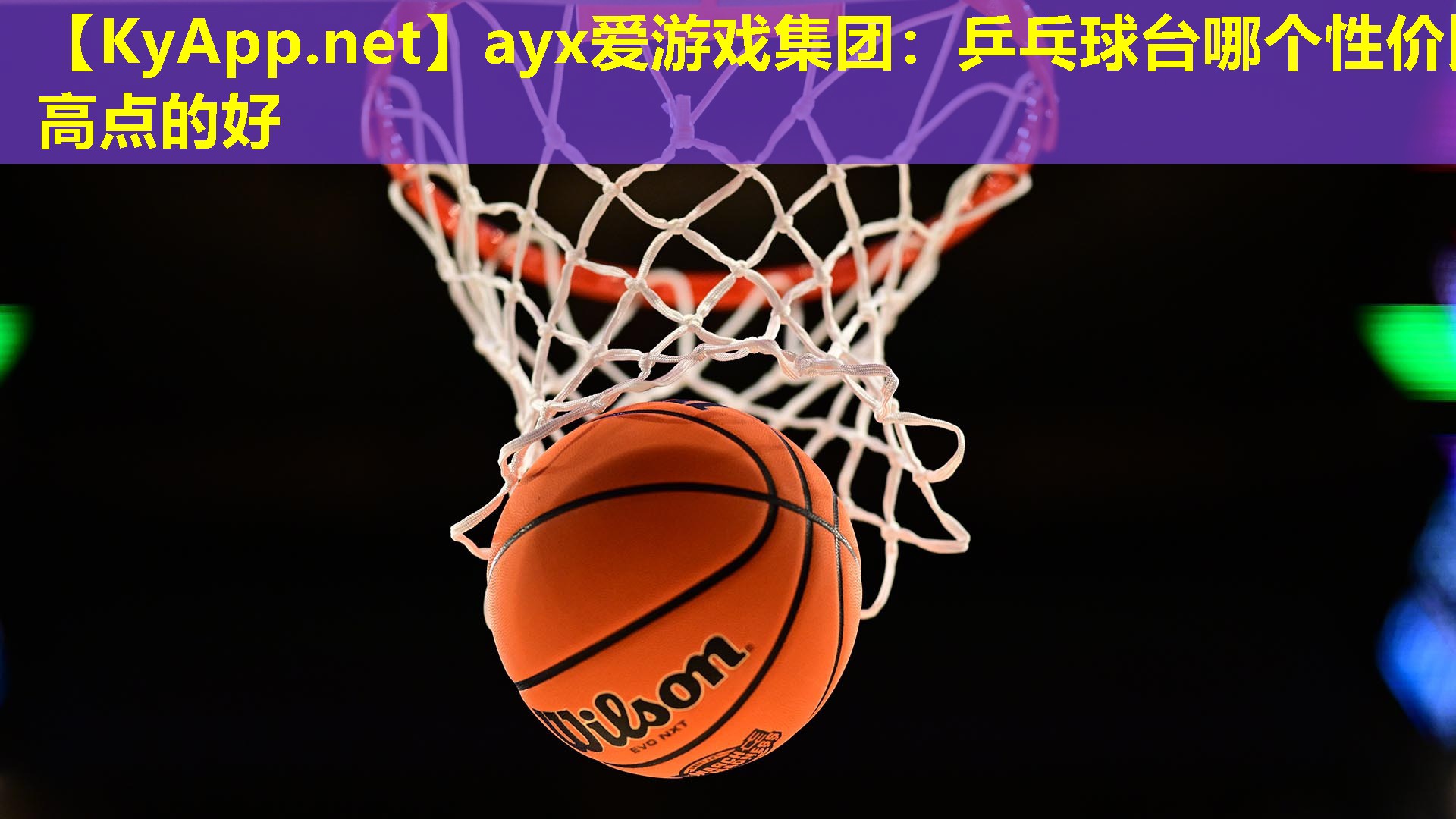 乒乓球台哪个性价比高点的好