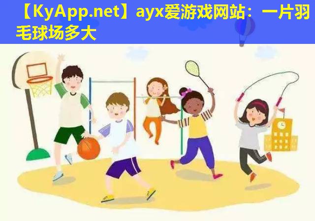 一片羽毛球场多大