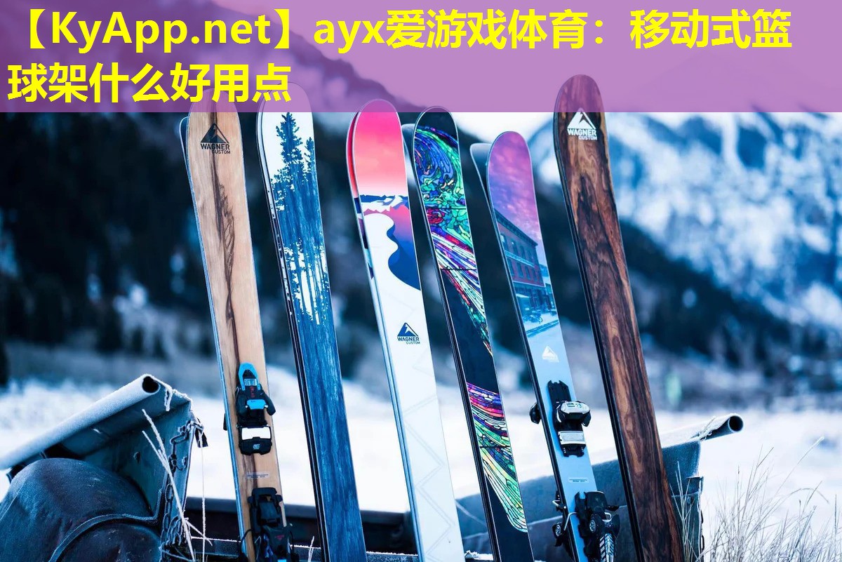 移动式篮球架什么好用点