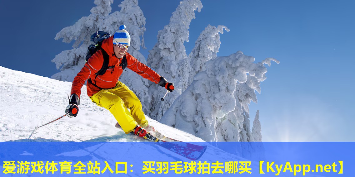 买羽毛球拍去哪买