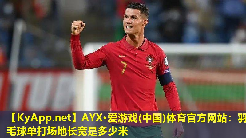 羽毛球单打场地长宽是多少米