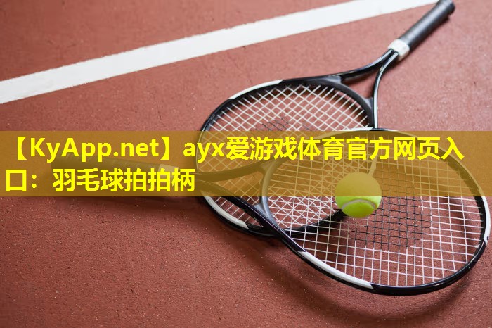 羽毛球拍拍柄